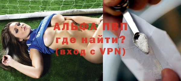 амф Елизово