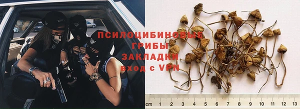 синтетический гашиш Дмитриев