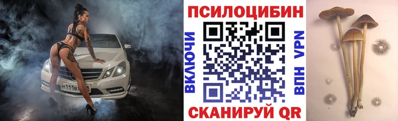 Псилоцибиновые грибы Psilocybe Купить закладки Красный Холм